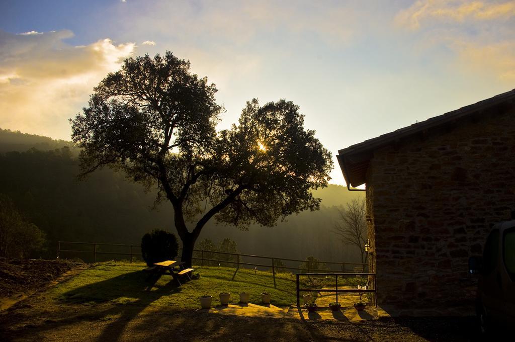 Masia Ca L'Anima Hotel La Baronia de Rialb Camera foto
