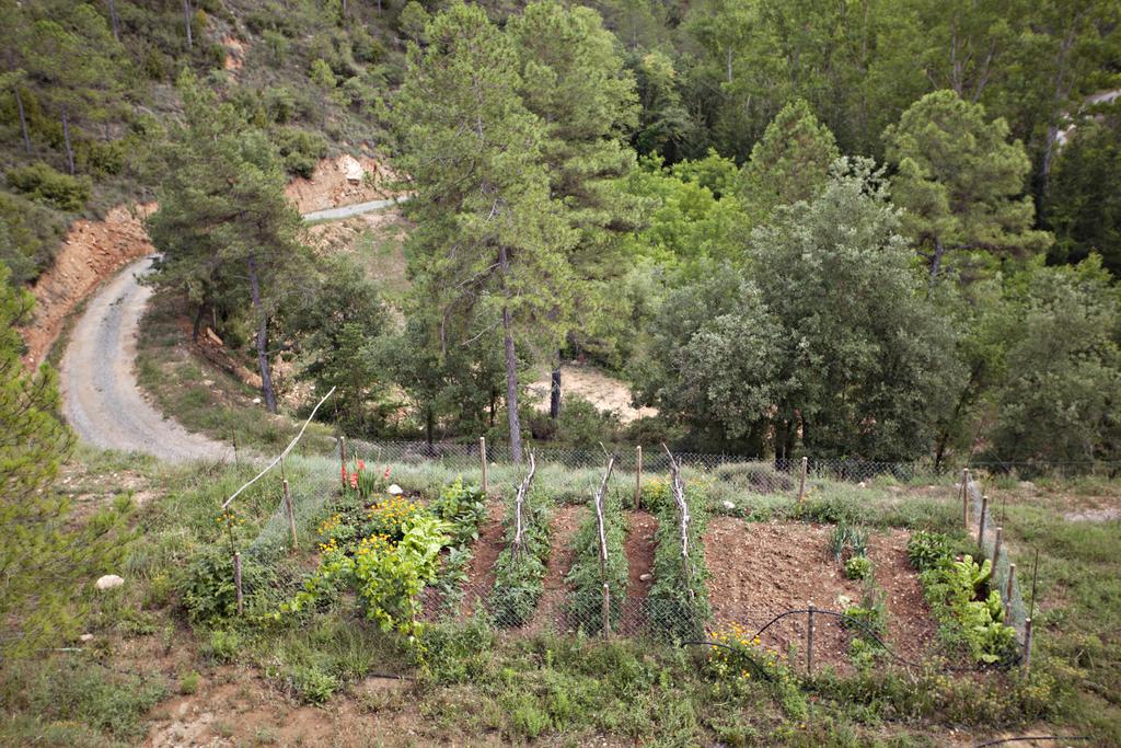 Masia Ca L'Anima Hotel La Baronia de Rialb Camera foto