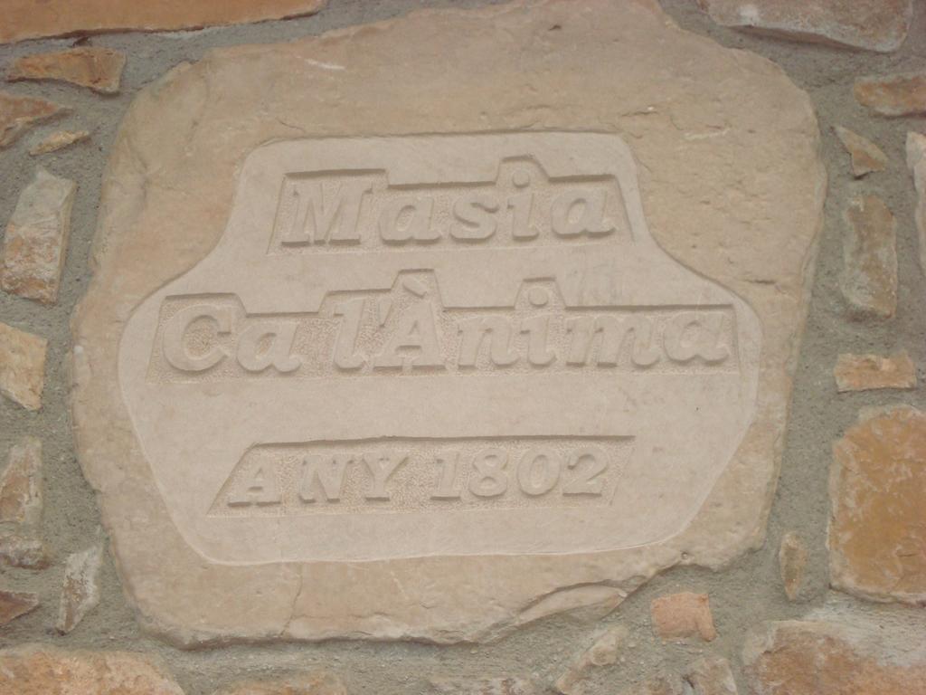 Masia Ca L'Anima Hotel La Baronia de Rialb Camera foto